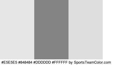 #E5E5E5 #848484 #DDDDDD #FFFFFF Colors