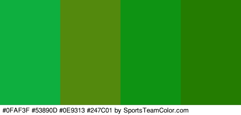 #0FAF3F #53890D #0E9313 #247C01 Colors