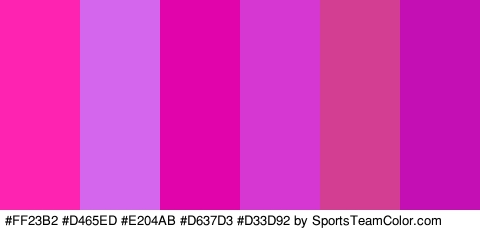 #FF23B2 #D465ED #E204AB #D637D3 #D33D92 #C40FB5 Colors