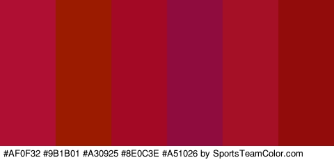 #AF0F32 #9B1B01 #A30925 #8E0C3E #A51026 #910C0A Colors