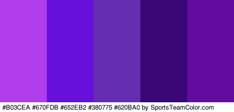 #B03CEA #670FDB #652EB2 #380775 #620BA0 Colors