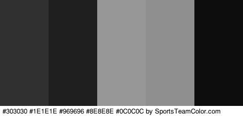 #303030 #1E1E1E #969696 #8E8E8E #0C0C0C Colors