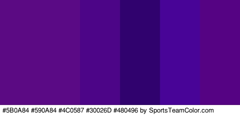 #5B0A84 #590A84 #4C0587 #30026D #480496 #550382 Colors