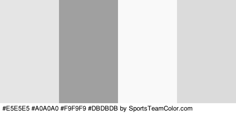 #E5E5E5 #A0A0A0 #F9F9F9 #DBDBDB Colors