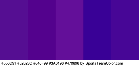 #550D91 #52028C #640F99 #3A0196 #470696 Colors