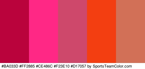 #BA033D #FF2885 #CE486C #F23E10 #D17057 Colors