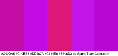 #C40DA5 #C40BE5 #DD167A #C114E8 #B806D3 Colors