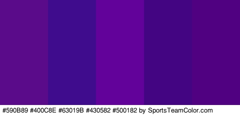 #590B89 #400C8E #63019B #430582 #500182 Colors