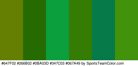 #647F02 #266B02 #0BA03D #347C03 #067A49 #42930B Colors