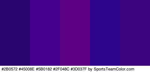 #2B0572 #45008E #5B0182 #2F048C #3D037F Colors