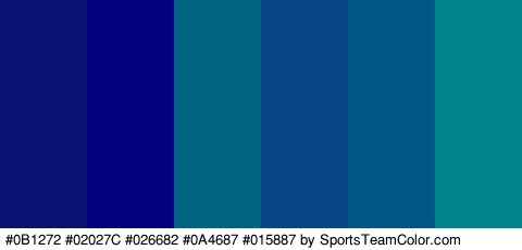 #0B1272 #02027C #026682 #0A4687 #015887 #01858C Colors