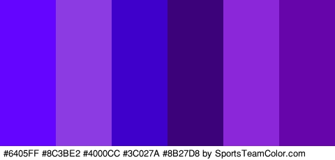 #6405FF #8C3BE2 #4000CC #3C027A #8B27D8 #6606AA Colors