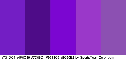 #731DC4 #4F0C89 #7C06D1 #9938C9 #8C50B2 Colors