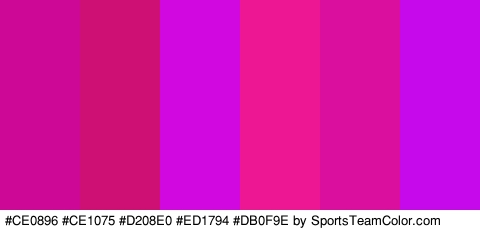 #CE0896 #CE1075 #D208E0 #ED1794 #DB0F9E #C509EA Colors