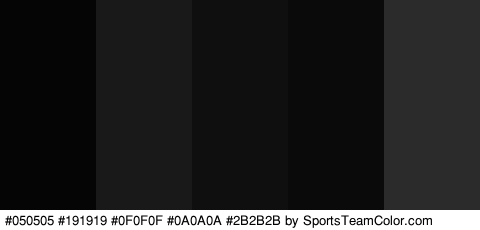 #050505 #191919 #0F0F0F #0A0A0A #2B2B2B Colors