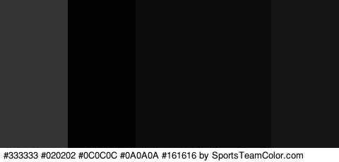 #333333 #020202 #0C0C0C #0A0A0A #161616 Colors