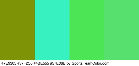 #7E9305 #37F2C0 #4BE555 #57E06E Colors