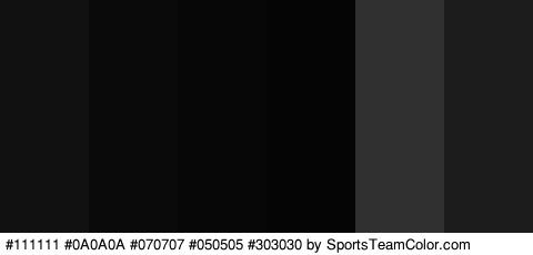 #111111 #0A0A0A #070707 #050505 #303030 #1C1C1C Colors