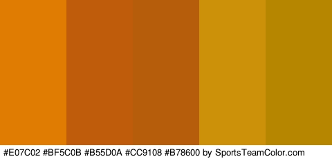 #E07C02 #BF5C0B #B55D0A #CC9108 #B78600 Colors