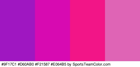 #9F17C1 #D60AB0 #F21587 #E064B5 Colors