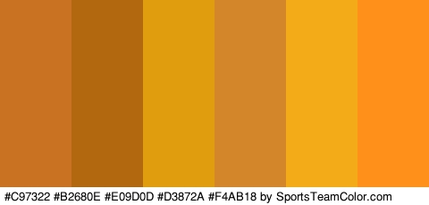 #C97322 #B2680E #E09D0D #D3872A #F4AB18 #FF9019 Colors