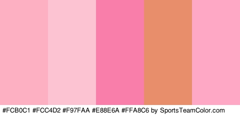 #FCB0C1 #FCC4D2 #F97FAA #E88E6A #FFA8C6 Colors