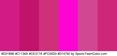 #D31B86 #C1136A #CE317A #FC05D3 #D14792 #CE277A Colors