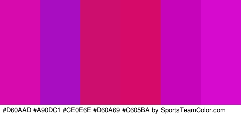 #D60AAD #A90DC1 #CE0E6E #D60A69 #C605BA #D60ACF Colors