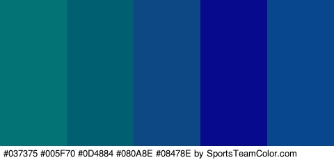 #037375 #005F70 #0D4884 #080A8E #08478E Colors