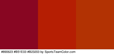 #890623 #B51E03 #B23203 Colors