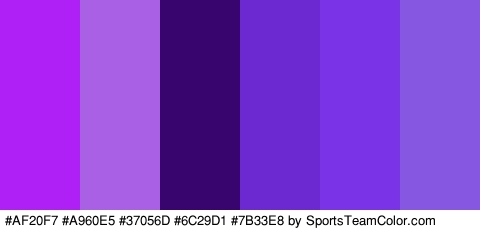 #AF20F7 #A960E5 #37056D #6C29D1 #7B33E8 #8658E2 Colors