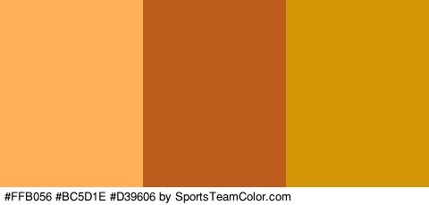 #FFB056 #BC5D1E #D39606 Colors