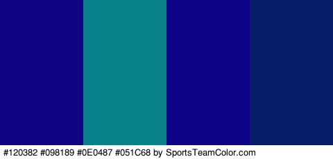 #120382 #098189 #0E0487 #051C68 Colors