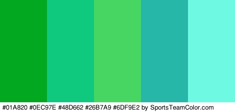 #01A820 #0EC97E #48D662 #26B7A9 #6DF9E2 Colors