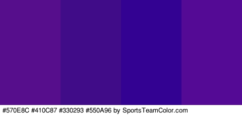 #570E8C #410C87 #330293 #550A96 Colors