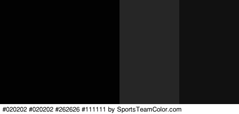 #020202 #020202 #262626 #111111 Colors