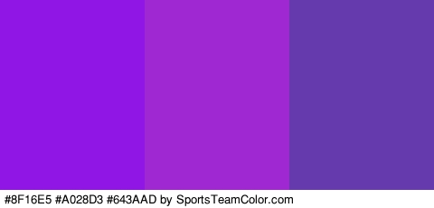 #8F16E5 #A028D3 #643AAD Colors