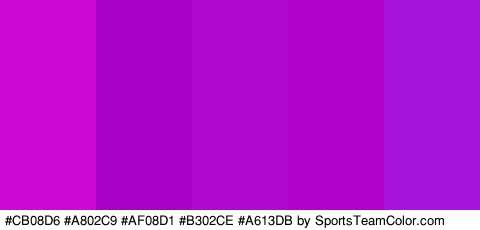 #CB08D6 #A802C9 #AF08D1 #B302CE #A613DB Colors