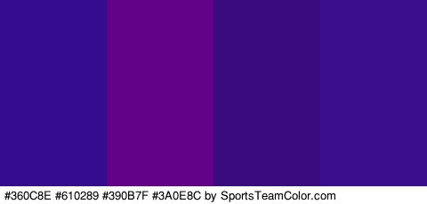 #360C8E #610289 #390B7F #3A0E8C Colors