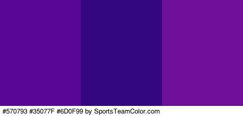 #570793 #35077F #6D0F99 Colors