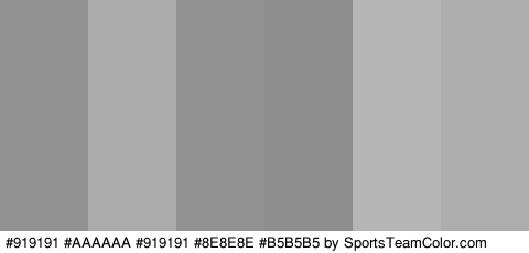 #919191 #AAAAAA #919191 #8E8E8E #B5B5B5 #ADADAD Colors