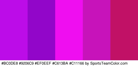 #BC0DE8 #9206C9 #EF0EEF #C613BA #C11166 Colors