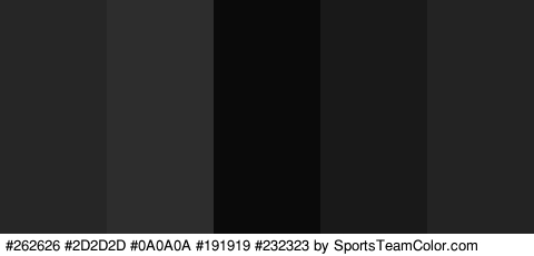 #262626 #2D2D2D #0A0A0A #191919 #232323 Colors