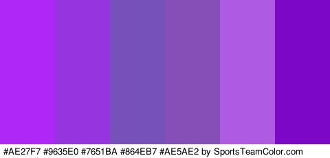 #AE27F7 #9635E0 #7651BA #864EB7 #AE5AE2 #7D07C6 Colors