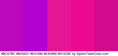 #BC07BC #B202D1 #E51696 #EA0990 #D10C8C Colors