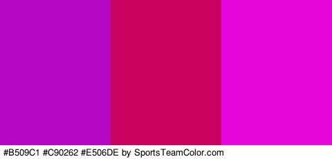 #B509C1 #C90262 #E506DE Colors