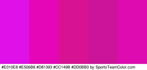 #E010E8 #E506B8 #D81393 #CC149B #DD0BB0 Colors