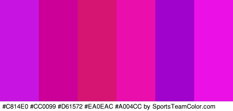 #C814E0 #CC0099 #D61572 #EA0EAC #A004CC #EA10E6 Colors