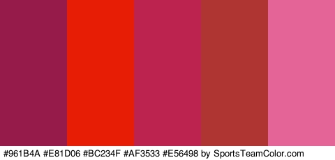 #961B4A #E81D06 #BC234F #AF3533 #E56498 Colors