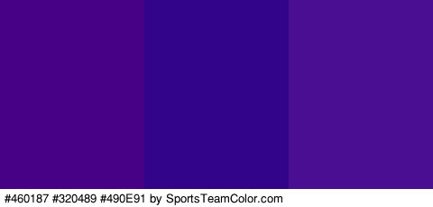 #460187 #320489 #490E91 Colors